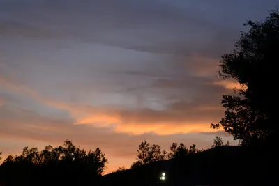 DSC_2368 (Large).JPG